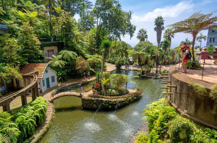 Funchal: Monte Palace Tropical Gardens Tuk Tuk Tour - Viewpoints above the city