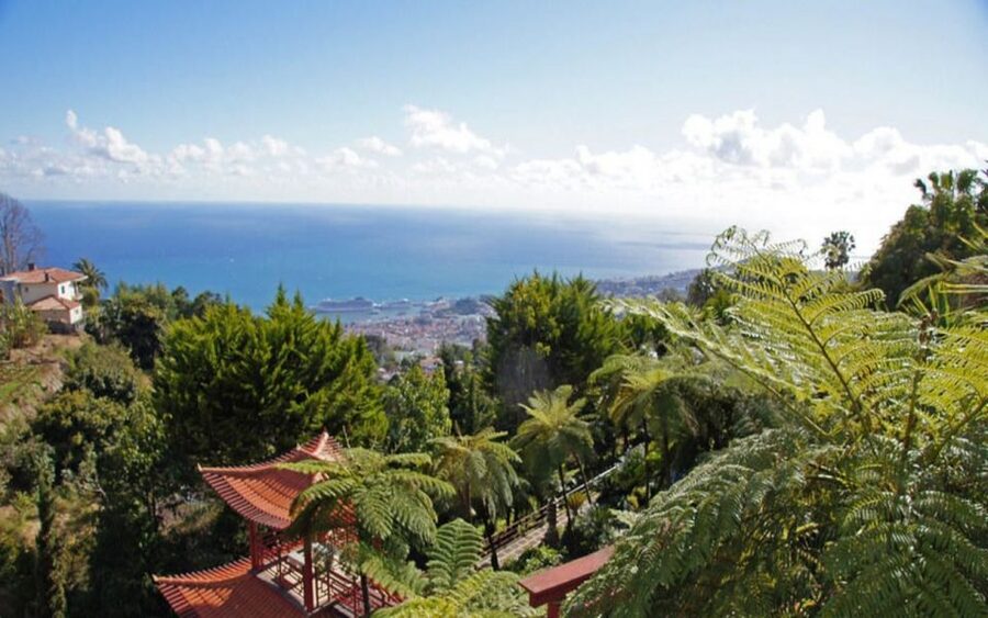 Funchal: Monte Palace Tropical Gardens Tuk Tuk Tour - Starting in Funchal and climbing toward Monte