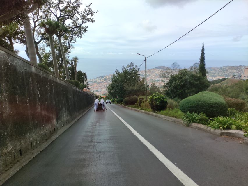 Funchal: Monte Toboggan and Old Town Tour by Tuk-Tuk - Why the Monte toboggan is worth your time