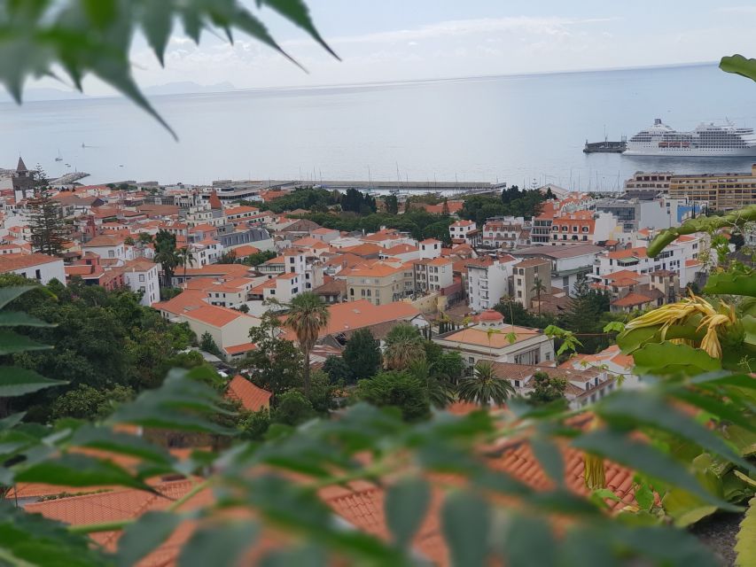 Funchal: Monte Toboggan and Old Town Tour by Tuk-Tuk - The two-kilometer descent