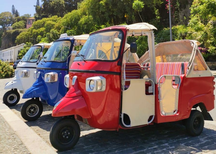 Funchal: Monte Toboggan and Old Town Tour by Tuk-Tuk - Guides, communication, and the private-group feel
