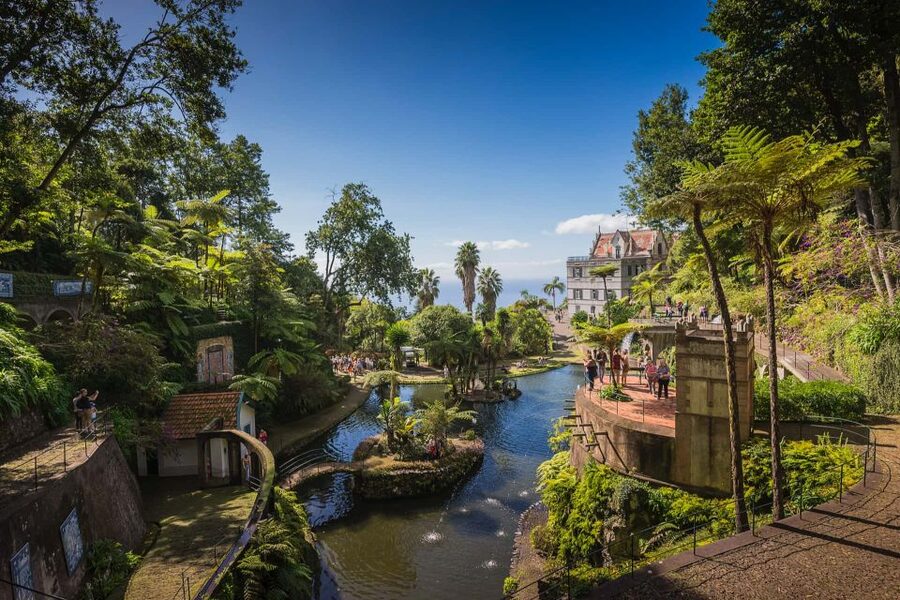 Funchal: Monte Tropical Garden & Toboggan Ride by Tuk Tuk - The ride back through Funchal