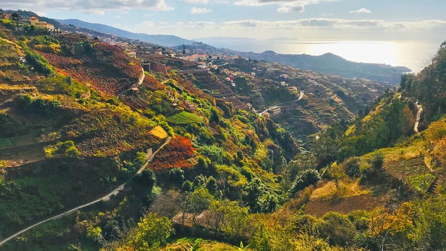 Funchal: Northern Levada Walking Tour - Should you book the Northern Levada Walking Tour?