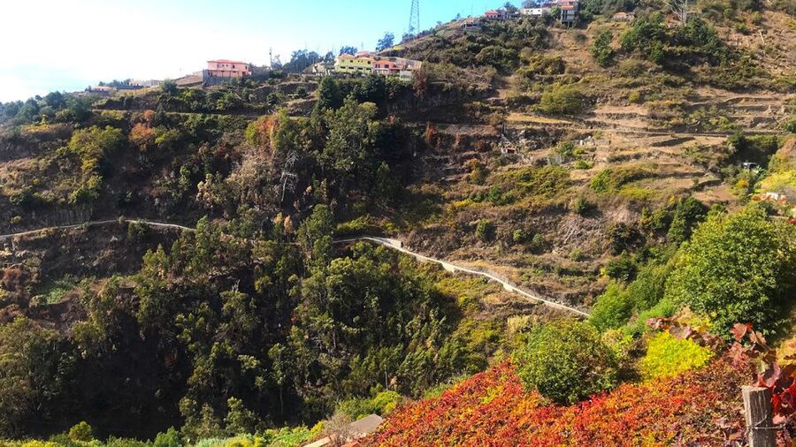Funchal: Northern Levada Walking Tour - Campanário and the everyday side of the island