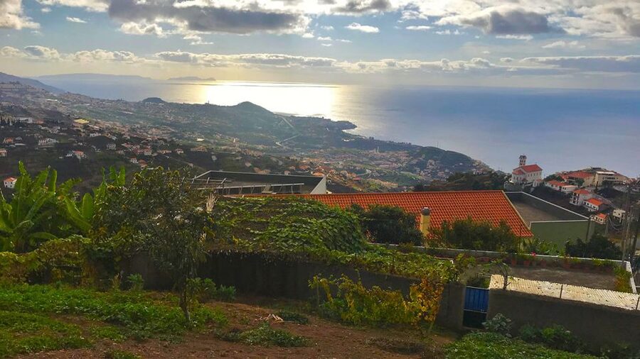 Funchal: Northern Levada Walking Tour - How much walking do you really get for $38?