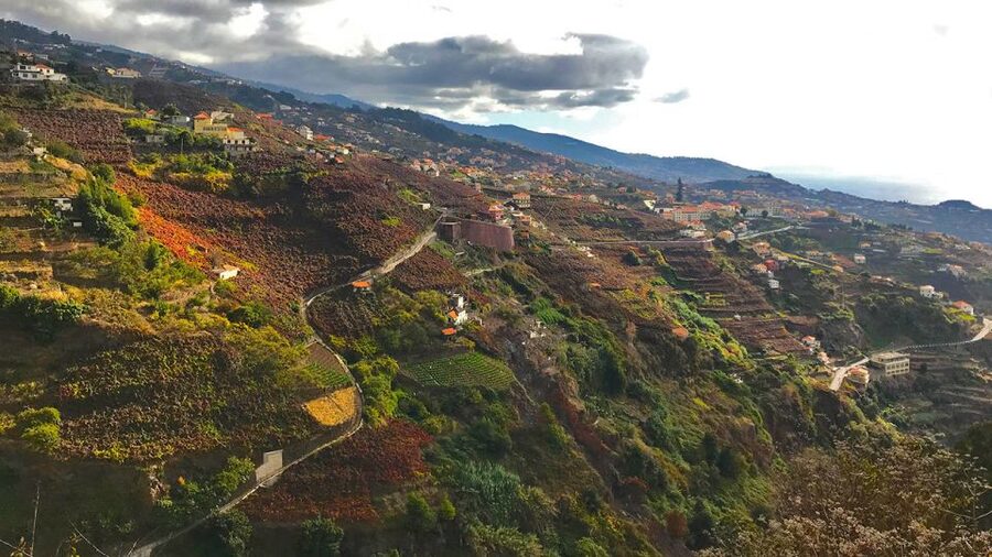 Funchal: Northern Levada Walking Tour - What to wear for this easy Madeira hike