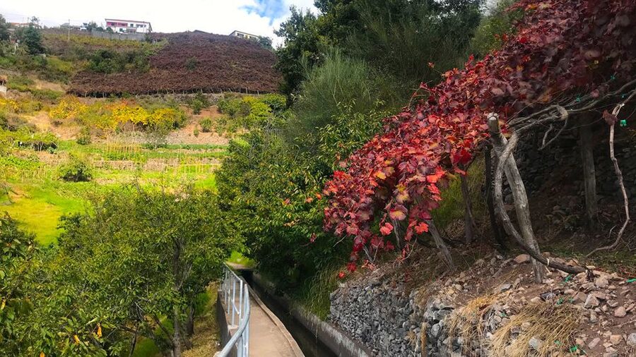 Funchal: Northern Levada Walking Tour - A practical call on the weather and cancellation rules