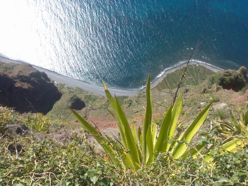Funchal: Nuns Valley Half Day Tour - Pickup, timing, and practical value