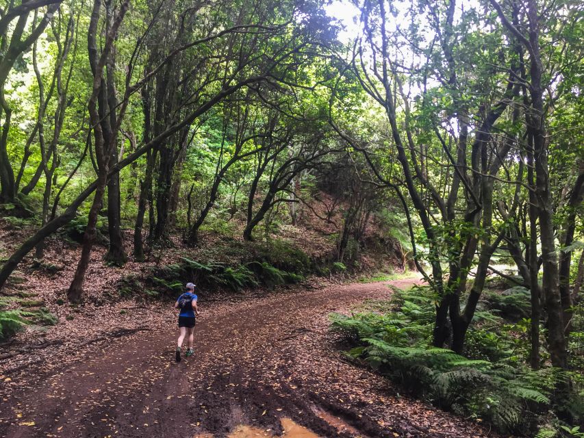Funchal: Ocean to Mountain Running Tour - The guide makes a practical difference