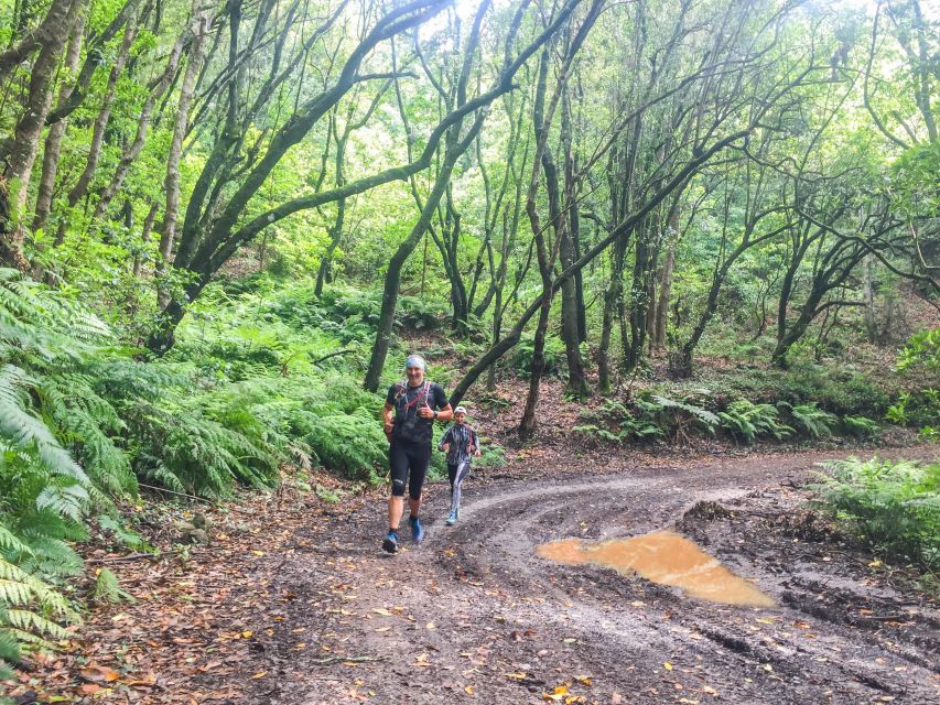 Funchal: Ocean to Mountain Running Tour - The opening climb from sea level to 900 meters