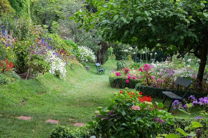 Funchal Old Town & Palheiro Gardens Private Tuk Tuk Tour - One hour among Palheiro’s old trees