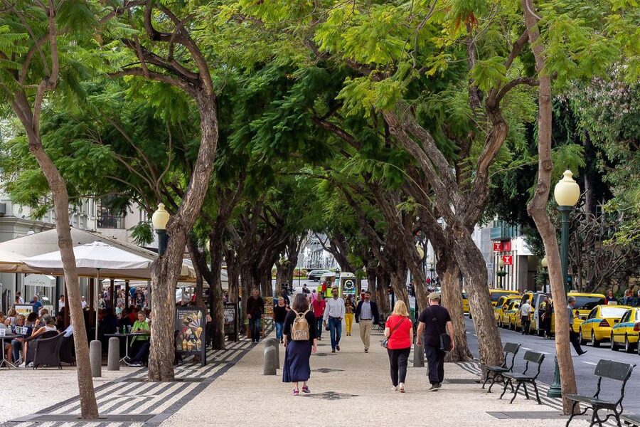 Funchal: Old Town Walking Tour - Starting inside the former Jesuits’ College
