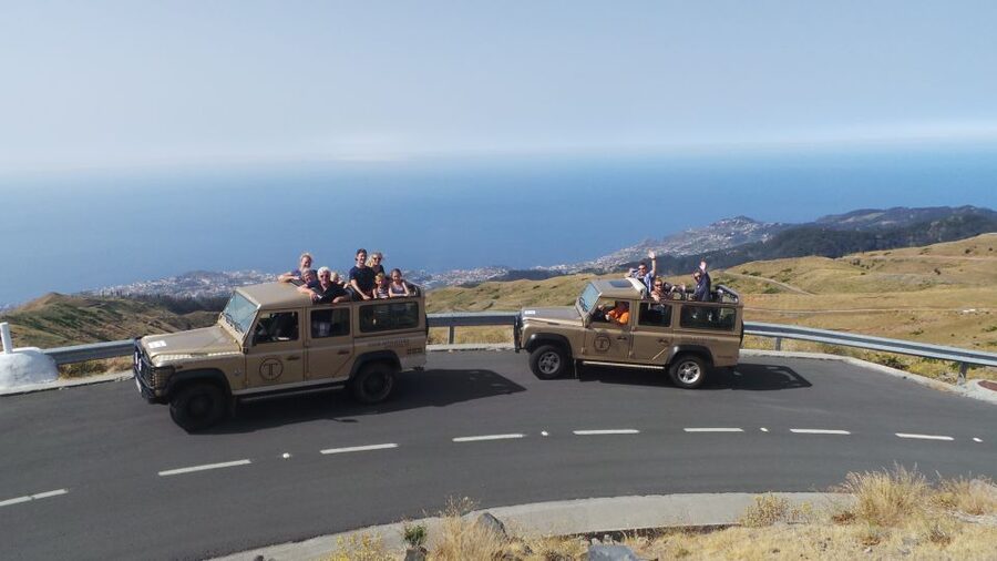Funchal: Pico Arieiro, Cristo Rei and Dolphins Watching - Who should choose this Madeira outing?