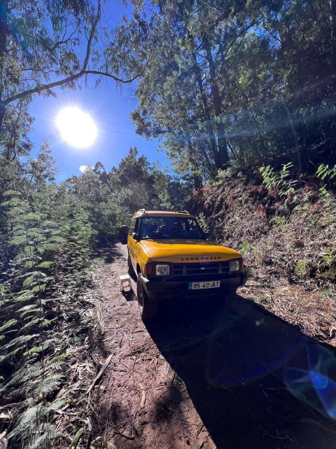 Funchal: Pico do Areeiro, Caniçal, Santana Jeep Safari Tour - Should You Book This Madeira Jeep Tour?