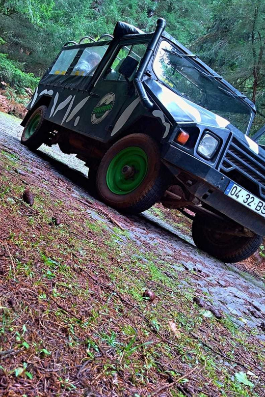 Funchal: Pico do Areeiro to Santana 4x4 East Tour - Santana houses and a useful lunch break