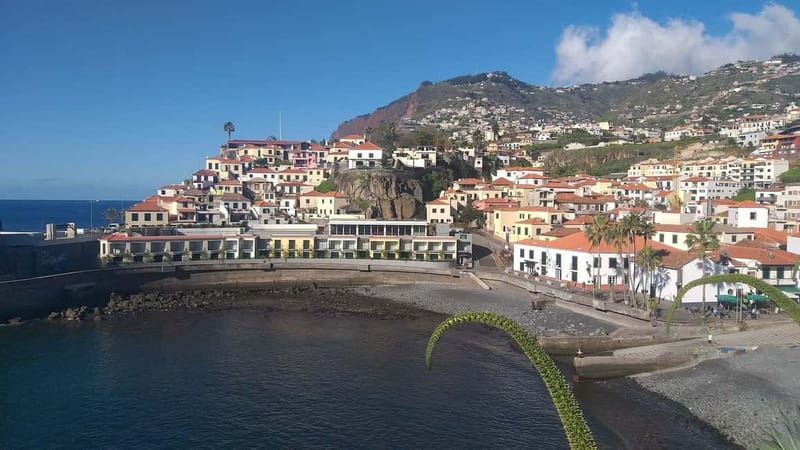 Funchal Private 4-Seater VIP Mercedes / 8-Seater Minibus - What your guide adds to the day