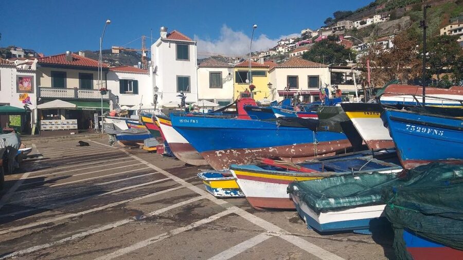 Funchal Private 4-Seater VIP Mercedes / 8-Seater Minibus - Lunch, extras, and the real cost