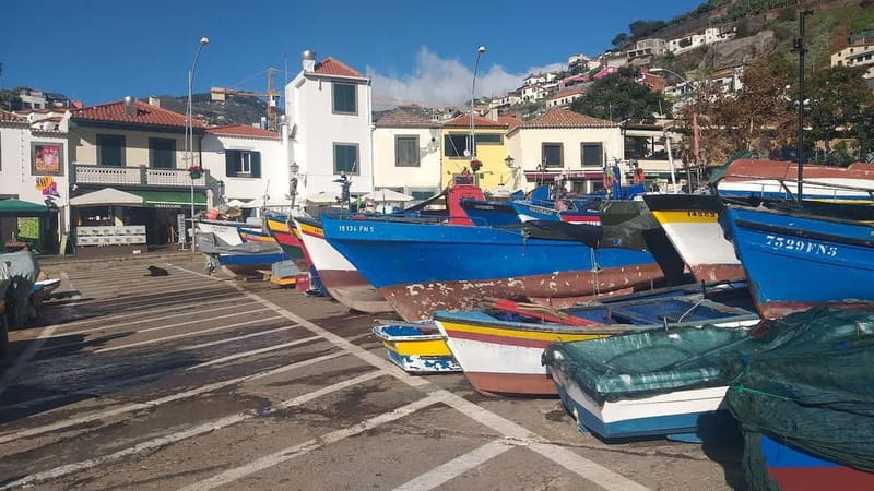 Funchal Private 4-Seater VIP Mercedes / 8-Seater Minibus - Practical details for a comfortable day