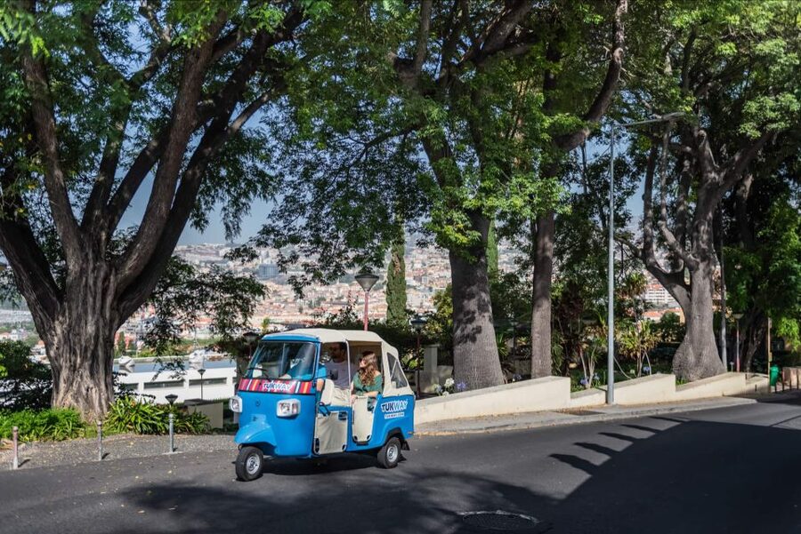 Funchal: Private Customizable Guided Tour by Tuk-Tuk - Gardens that reward a slower pace