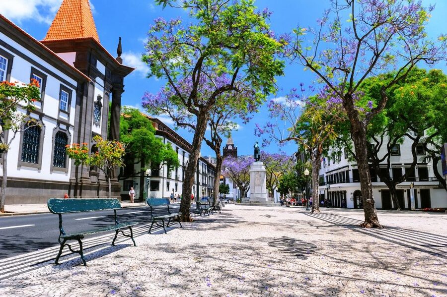 Funchal: Private Guided Tour of Historic Center by Tuk Tuk - Should you book this Funchal tuk-tuk tour?