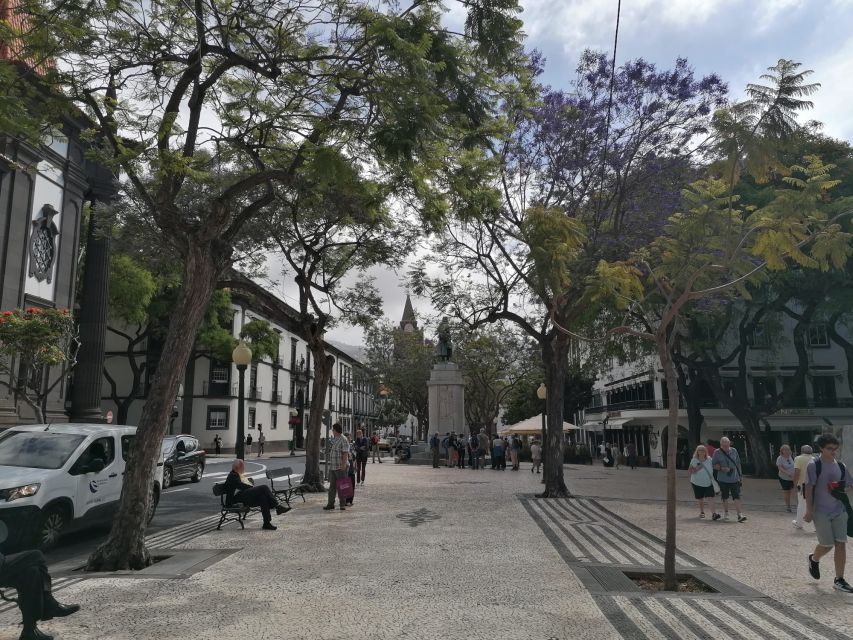 Funchal: Private Guided Tour of Historic Center by Tuk Tuk - Pickup, timing, and practical limits