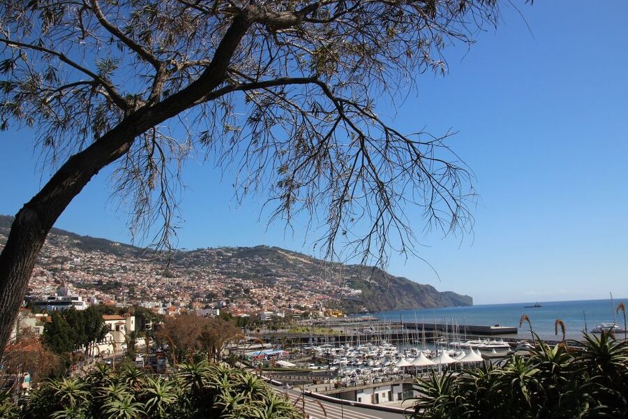 Funchal: Private Tour with a Local Guide - Why a local orientation helps in Funchal