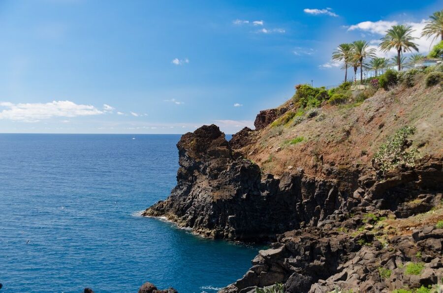 Funchal: Private Tour with a Local Guide - Starting at your hotel or Airbnb