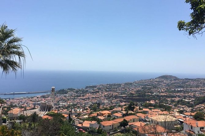 Funchal Private Transfers Service to Madeira Airport - Why a private airport ride makes sense in Funchal