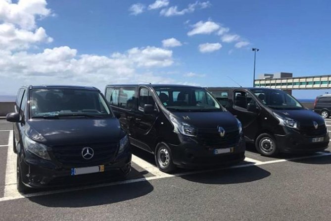 Funchal Private Transfers Service to Madeira Airport - Choosing the right vehicle for your group