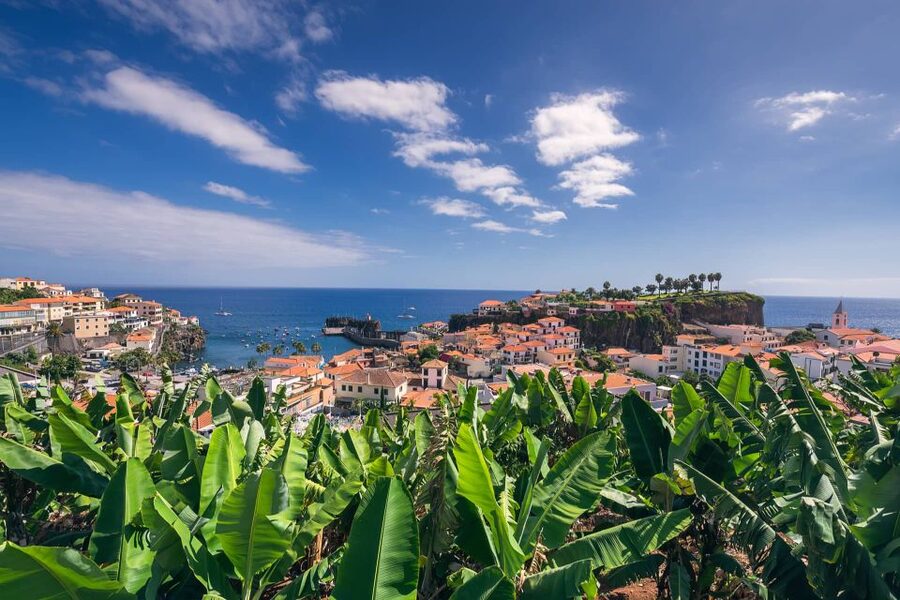 Funchal: Private Tuk-Tuk Tour to Cabo Girão Cliff - Skywalk - Who should book this three-hour outing