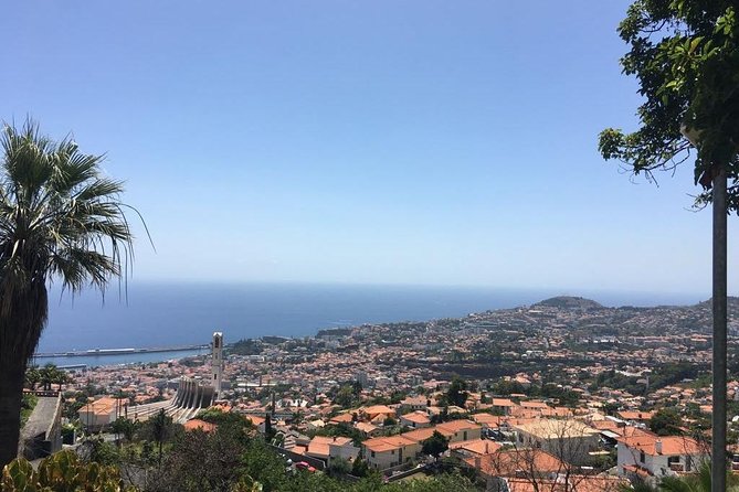 Funchal Private Vehicle Service with Driver for a Half Day or Full Day - A private way to see Madeira without renting a car