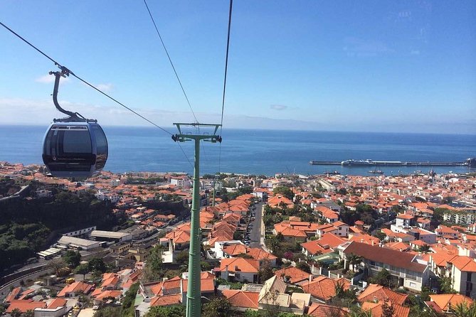 Funchal Private Vehicle Service with Driver for a Half Day or Full Day - Weather, timing, and the fine print