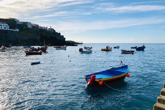 Funchal Private Vehicle Service with Driver for a Half Day or Full Day - What four hours can realistically cover