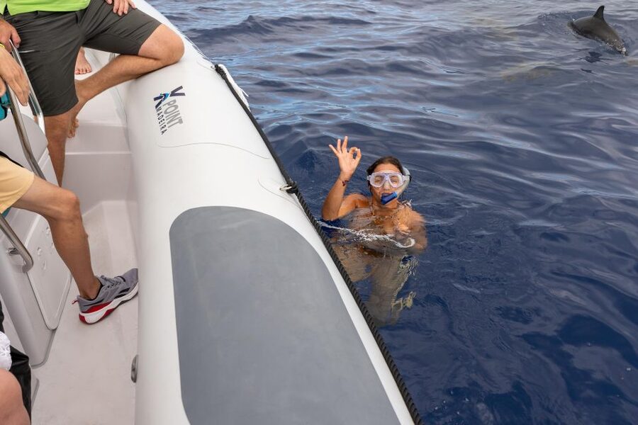 Funchal: RIB Whale Watching Cruise and Optional Dolphin Swim - Key points to know before booking