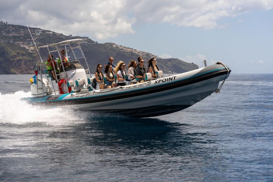 Funchal: RIB Whale Watching Cruise and Optional Dolphin Swim - Leaving Funchal on a compact RIB