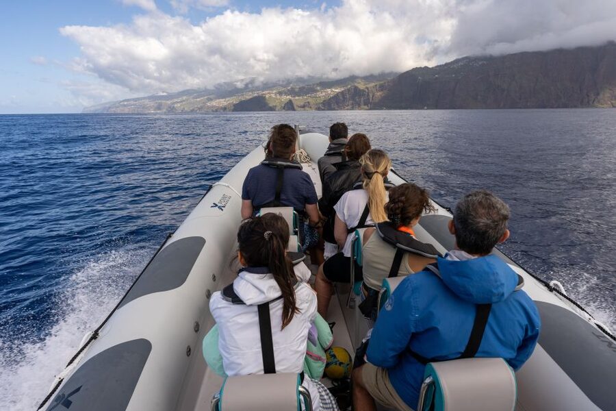 Funchal: RIB Whale Watching Cruise and Optional Dolphin Swim - Is $61 a fair price?
