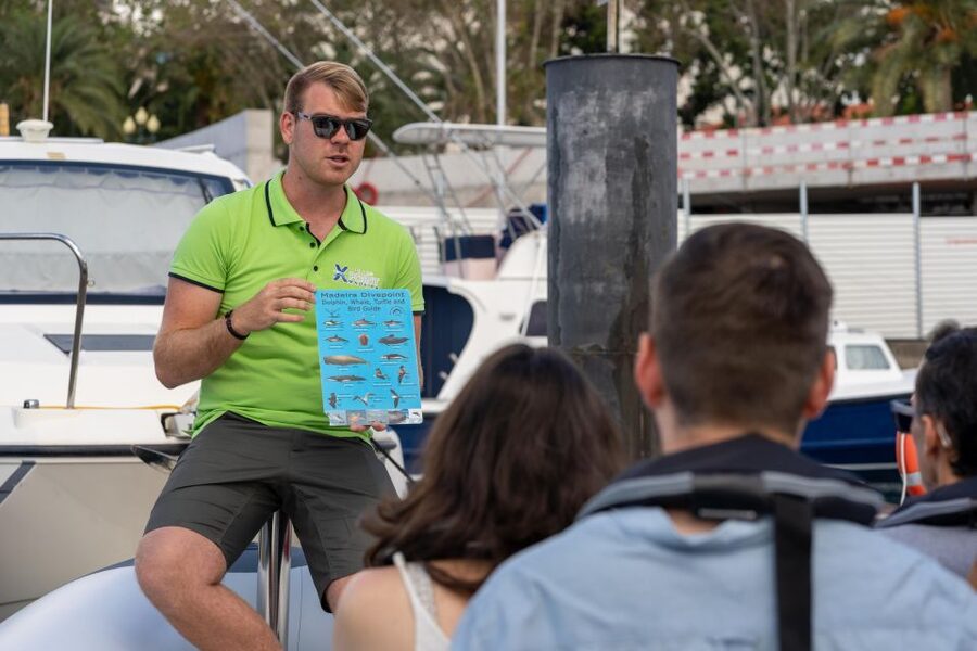 Funchal: RIB Whale Watching Cruise and Optional Dolphin Swim - Booking, timing, and cancellation