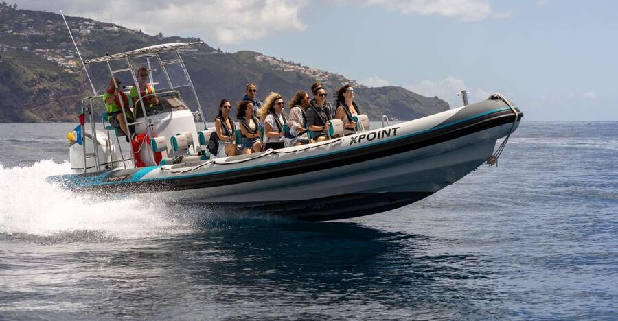 Funchal: RIB Whale Watching Cruise and Optional Dolphin Swim - Searching the waters for dolphins and whales