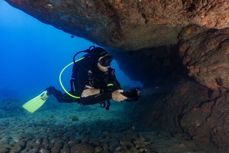 Funchal: Scuba Diving Experience for Beginners - The marine life is the real payoff