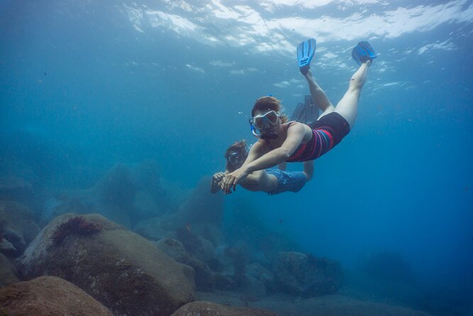 Funchal: Snorkeling Adventure in Eco-Park / Shore or by Boat - Key points to know before booking
