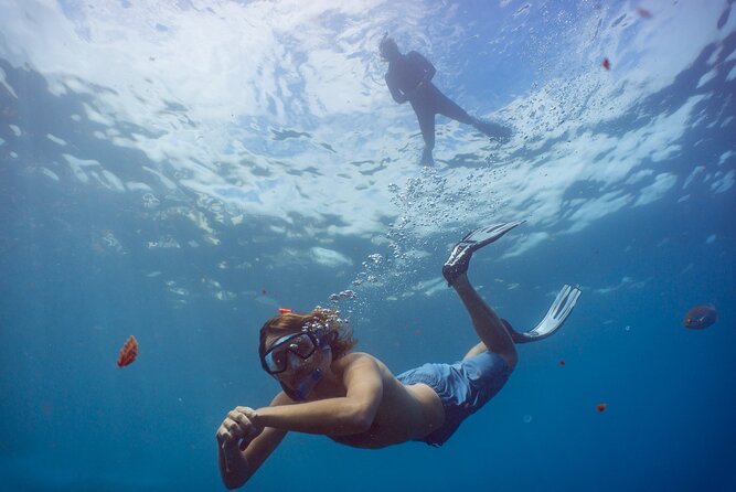 Funchal: Snorkeling Adventure in Eco-Park / Shore or by Boat - Getting to the water at the Pestana Carlton