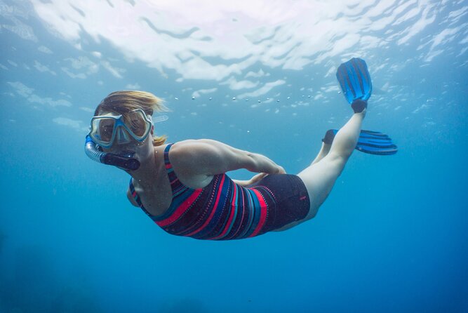 Funchal: Snorkeling Adventure in Eco-Park / Shore or by Boat - The views from the water