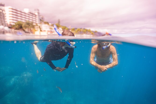 Funchal: Snorkeling Adventure in Eco-Park / Shore or by Boat - Price and practical value at $17