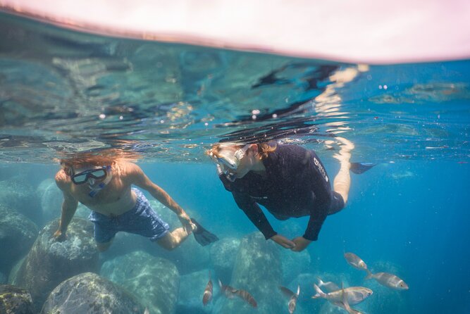 Funchal: Snorkeling Adventure in Eco-Park / Shore or by Boat - What to bring and how to prepare