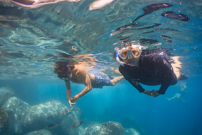 Funchal: Snorkeling Adventure in Eco-Park / Shore or by Boat - Choosing the house reef or the boat trip
