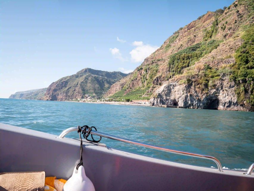 Funchal: Speedboat SEE THE ISLAND AND LIFE AT SEA - Who will enjoy this boat trip most?