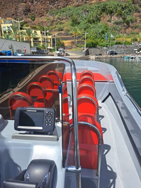Funchal: Speedboat SEE THE ISLAND AND LIFE AT SEA - A swim in Madeira’s clear water