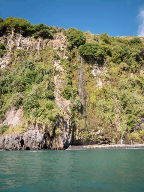 Funchal: Speedboat SEE THE ISLAND AND LIFE AT SEA - What the 2.5-hour schedule really means