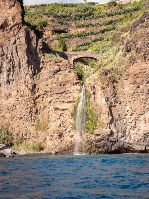 Funchal: Speedboat SEE THE ISLAND AND LIFE AT SEA - Is $41 good value?
