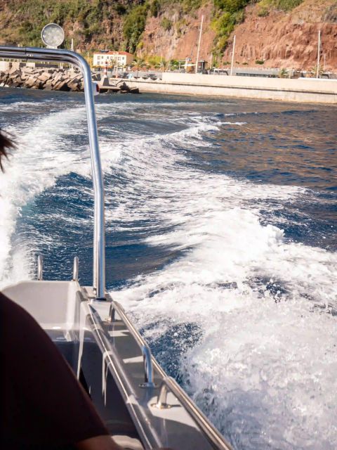 Funchal: Speedboat SEE THE ISLAND AND LIFE AT SEA - Finding the meeting point